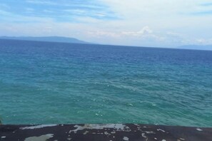 Unclassified image, 2 of 10, button - Dolphin Bay Resort Puerto Galera (Abra de Ilog)