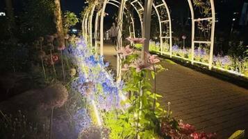 Pemandangan dari properti