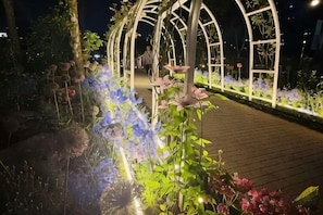 Un sentiero in giardino con un pontile in legno, circondato da piante fiorite e una struttura ad arco bianca.