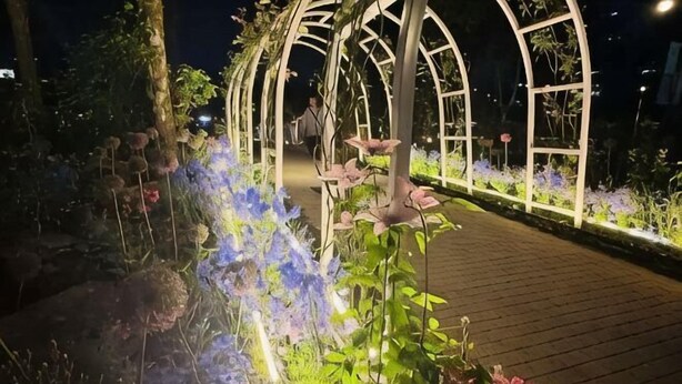 A garden pathway with a wooden deck, surrounded by various plants and flowers, leading to a white arched structure. - Ritz Sillim (Seoul)
