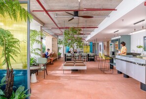 An indoor space with seating areas, a kitchen, and a ceiling fan. - Express by M Village Ky Dong, a brand of Modern Village Lifestyle (Ho Chi Minh City)