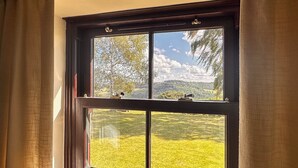 Una ventana con vistas a un campo verde y árboles.