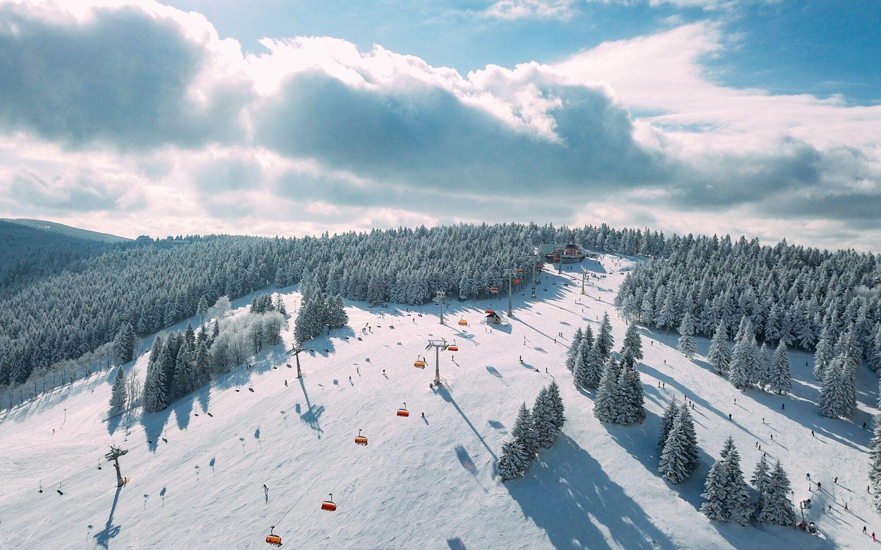 Ein schneebedecktes Skigebiet mit Seilbahnen und einem bewaldeten Hintergrund.