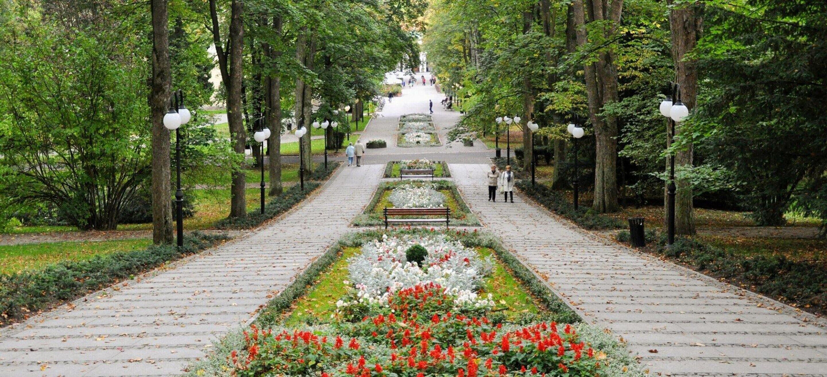 Um caminho simétrico no jardim, com bancos, árvores e um canteiro de flores central.