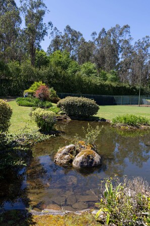 Terrein van de accommodatie