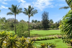 House, Multiple Beds (Waikoloa Colony Villas#1404) | Property grounds - Waikoloa Colony Villas#1404 (Waikoloa)
