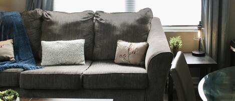 تلفزيون، كُتُب