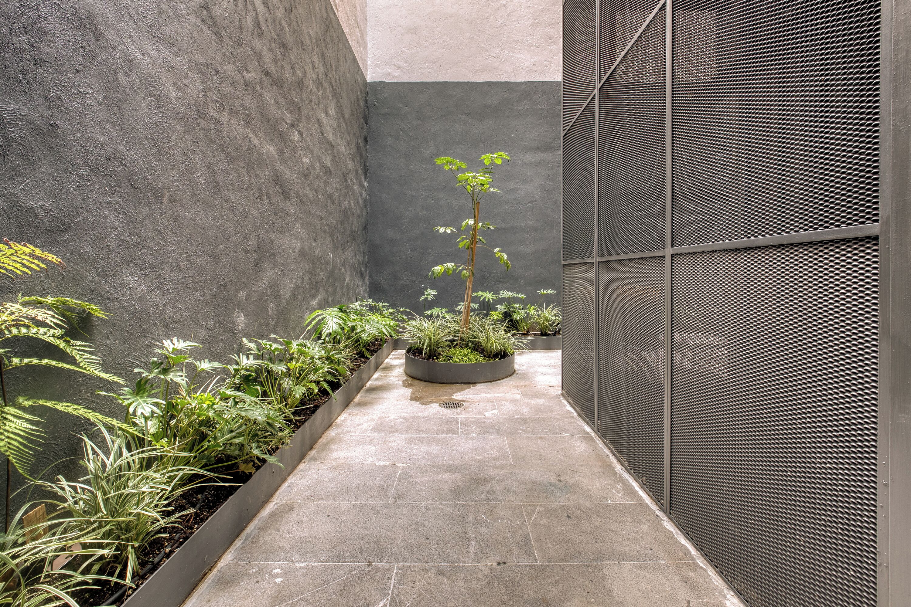 A narrow pathway with a planter box containing various plants, flanked by textured walls and a metal mesh fence.