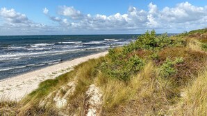 Ein Strand mit Wellen, Sand und Küstenvegetation.