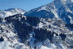 A mountainous landscape with snow-covered slopes and dense forests. - HOMESTAY (Almaty)