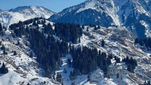 A mountain landscape with a ski lift, snow-covered slopes, and dense forests. - HOMESTAY (Almaty)