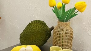 Eine Vase mit gelben Blumen, ein strukturiertes grünes Objekt und ein gelbes Objekt auf einem Tisch.
