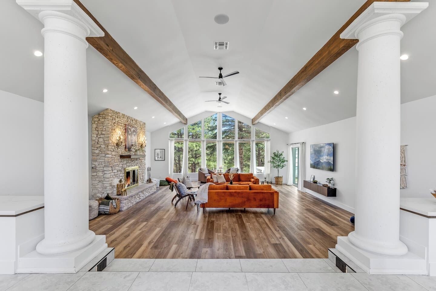 TV, fireplace, books