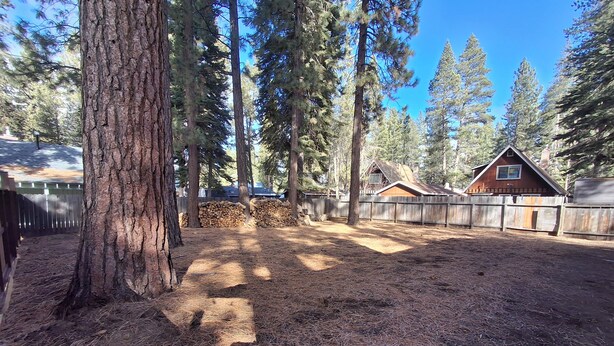 A fenced yard with tall trees, a wooden cabin, and a stack of firewood. - Cozy South Lake Tahoe Home / Dog Friendly / Fenced Yard / Porch (South Lake Tahoe)