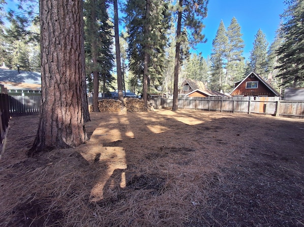A fenced yard with tall trees, a wooden cabin, and a stack of firewood.