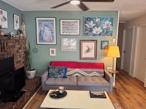 Smart TV, books, computer monitors