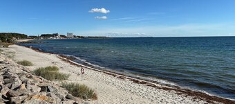 Pet friendly home in Faxe Ladeplads with WiFi