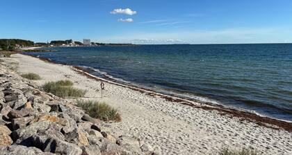 Pet friendly home in Faxe Ladeplads with WiFi