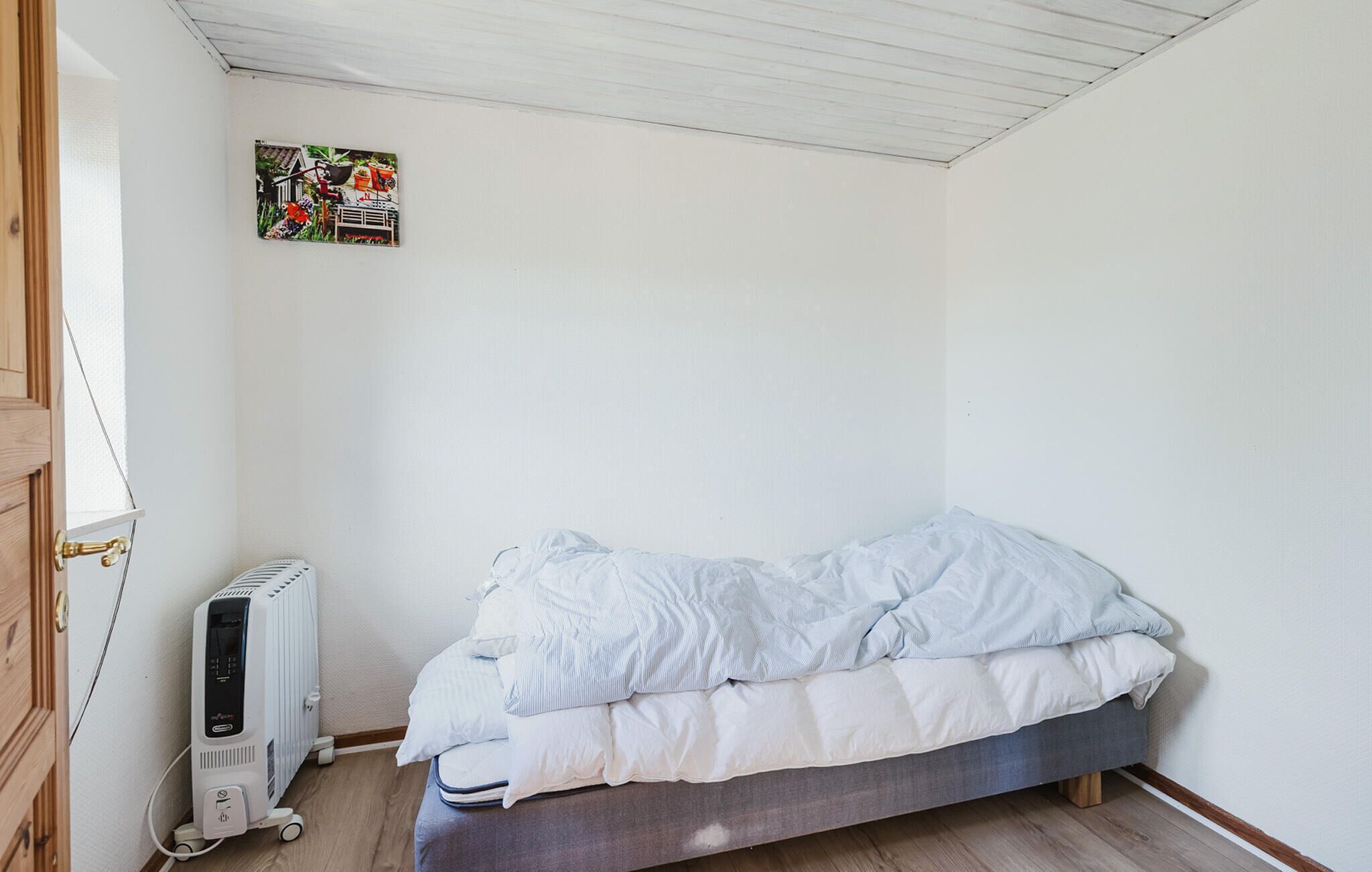 A small, single-bed room with a wooden floor, a white radiator, and a small table with a plant.