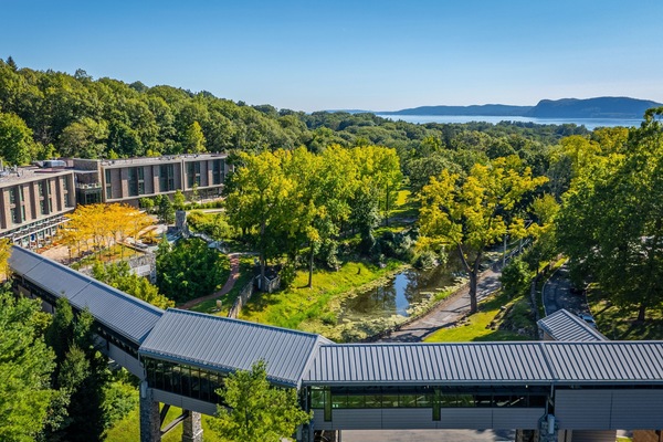 Framed by vibrant trees and a peaceful stream, this idyllic corner of Windrose features interconnected pathways, inviting guests to explore the resort's natural beauty.