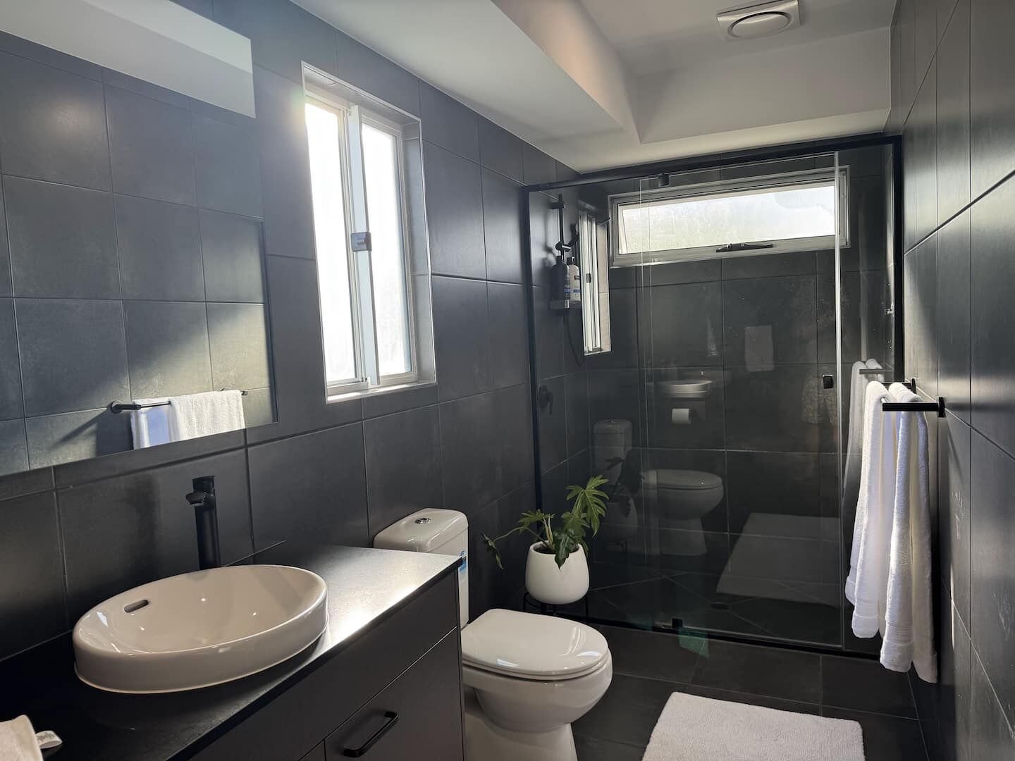 Hair dryer, towels, soap, toilet paper