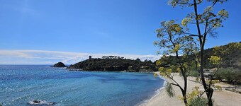 PALMERAIE 317-AIR CONDITIONING-BEACH AND SHOPS WITHIN WALKING DISTANCE