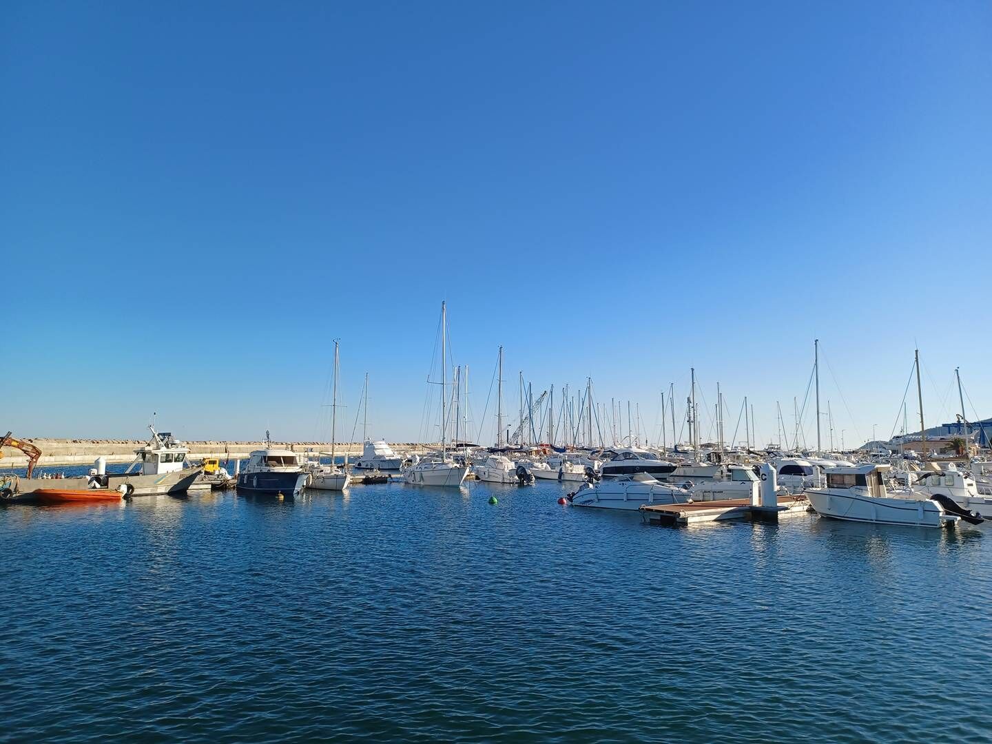 A marina with various boats docked.
