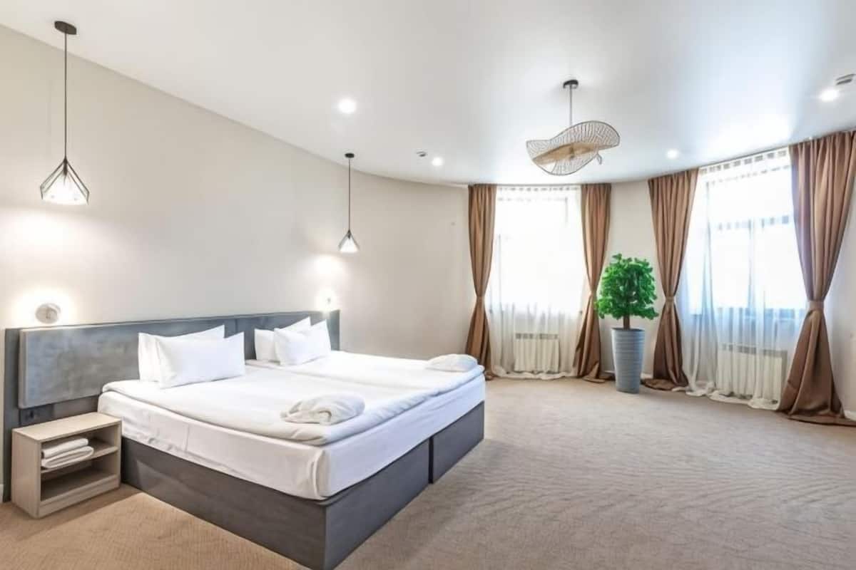 A modern hotel room with a large bed, bedside tables, a potted plant, and a view of the outdoors.