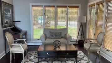 Smart TV, fireplace, books