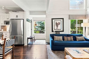 Smart TV, fireplace, books
