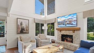 Smart TV, fireplace, books