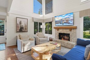 Smart TV, fireplace, books