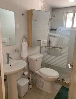 Dusche, Haartrockner, Handtücher, Seife