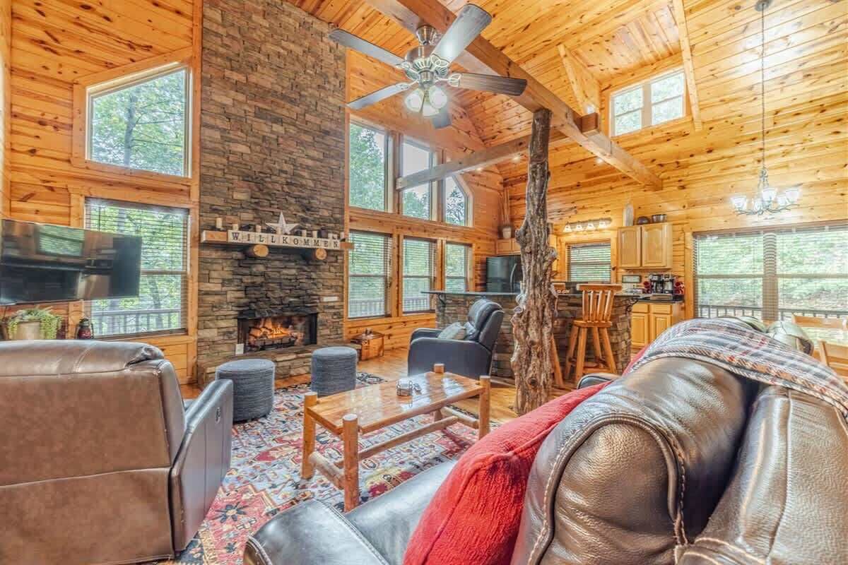 TV, fireplace, books