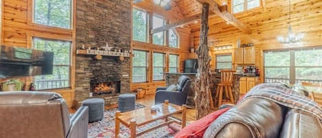 TV, fireplace, books