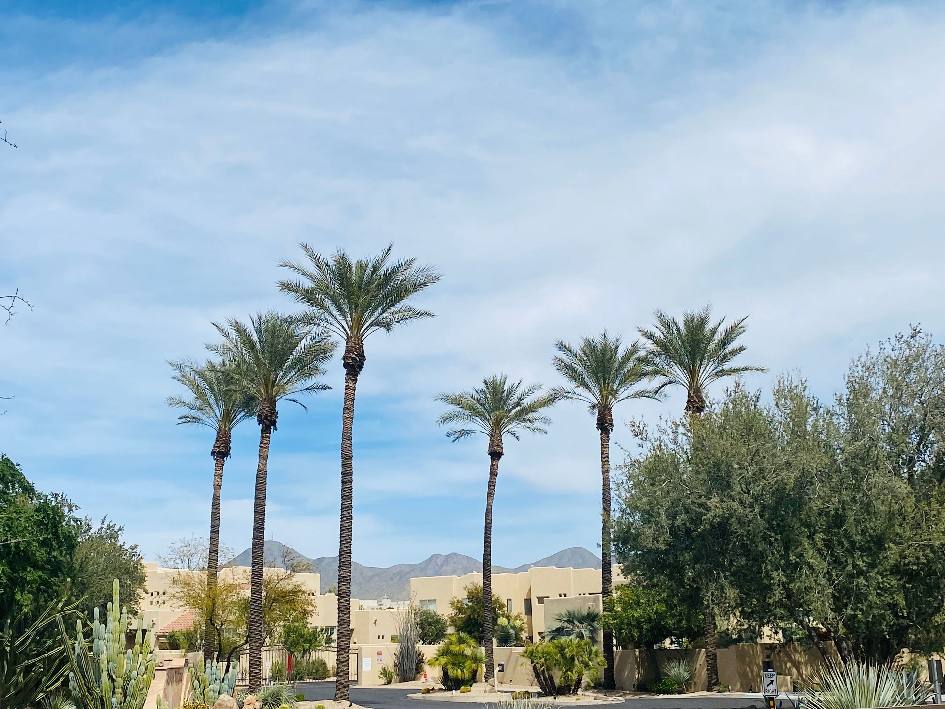منوع