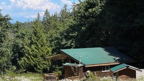 A rustic cabin with a green roof, surrounded by dense forest and wildflowers. - Welcome to the Meadowverse, your peaceful retreat (Galiano Island)