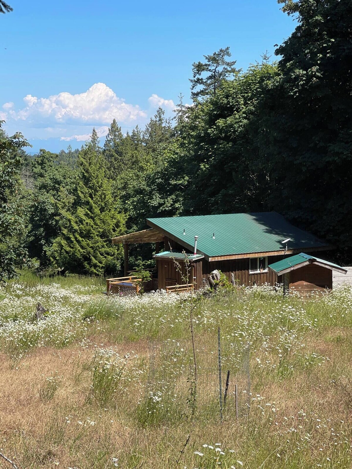 Image de profil de l’hôte