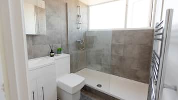 Shower, towels, toilet paper