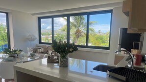 Une cuisine moderne dotée d’une grande fenêtre, d’un îlot central et offrant une vue sur la verdure et les bâtiments.