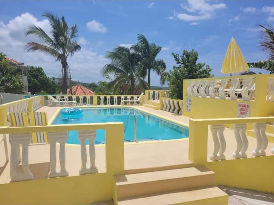 A swimming pool with yellow railings and palm trees in the background.