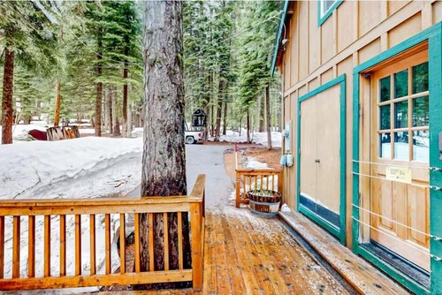 Quiet Pines Cabin in Homewood