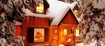 Quiet Pines Cabin in Homewood