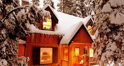 Quiet Pines Cabin in Homewood
