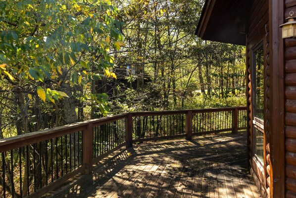 テラス / パティオ