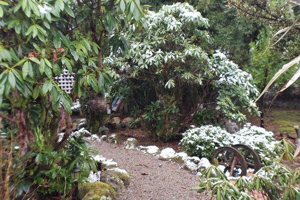 Property grounds - Relax in privacy. Explore the beauty of Waratah, The Tarkine & Cradle Mountain. (Waratah)