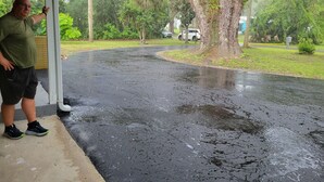 A wet driveway leading to a covered porch with a large tree in the background. - 3 Bed/2 Bath Cottage near downtown  Crystal River (Crystal River)