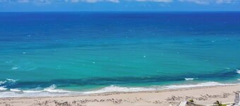 Palm Beach | Tropical Balcony + Pool & Beach Walk