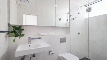 Shower, hair dryer, towels, soap