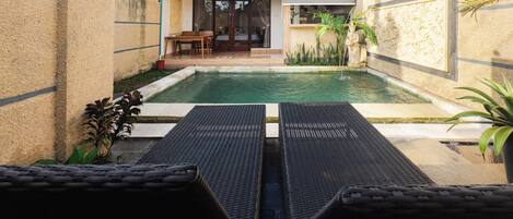 Outdoor pool, sun loungers